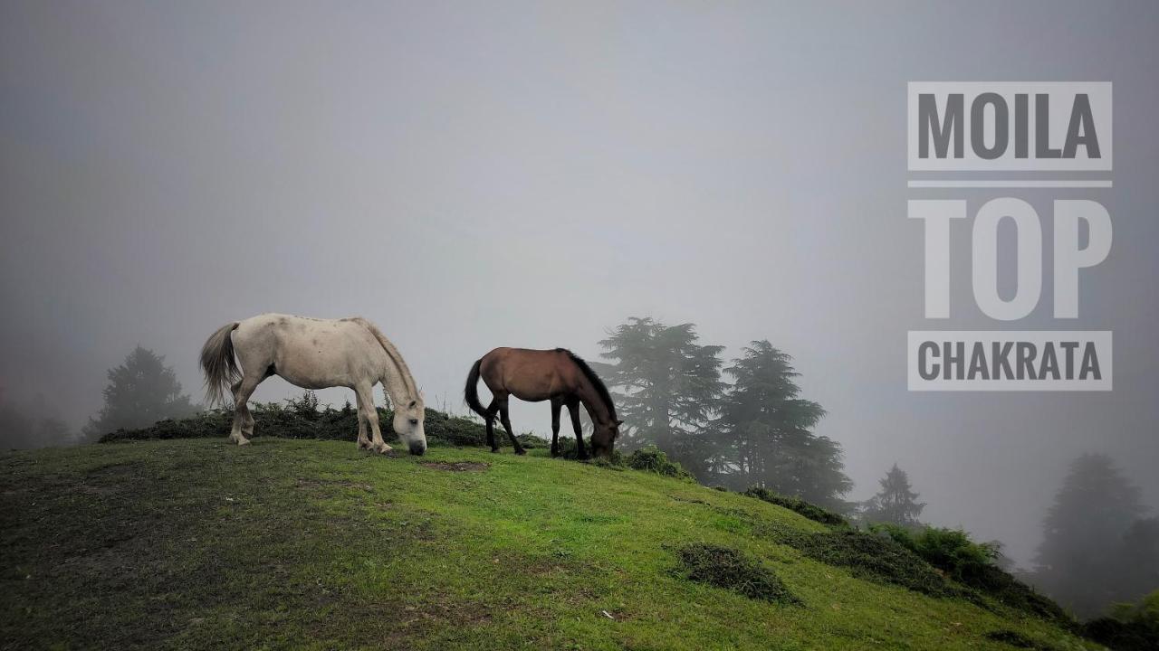 Babutaal Resort Chakrata Luaran gambar