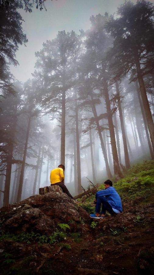 Babutaal Resort Chakrata Luaran gambar