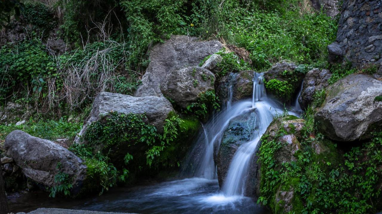 Babutaal Resort Chakrata Luaran gambar